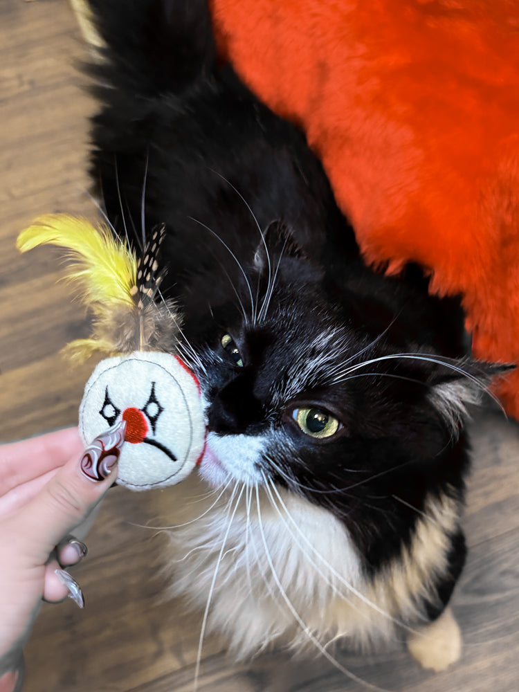 Clown Cat Toys